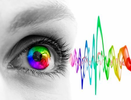 Cover image - LS Telcom