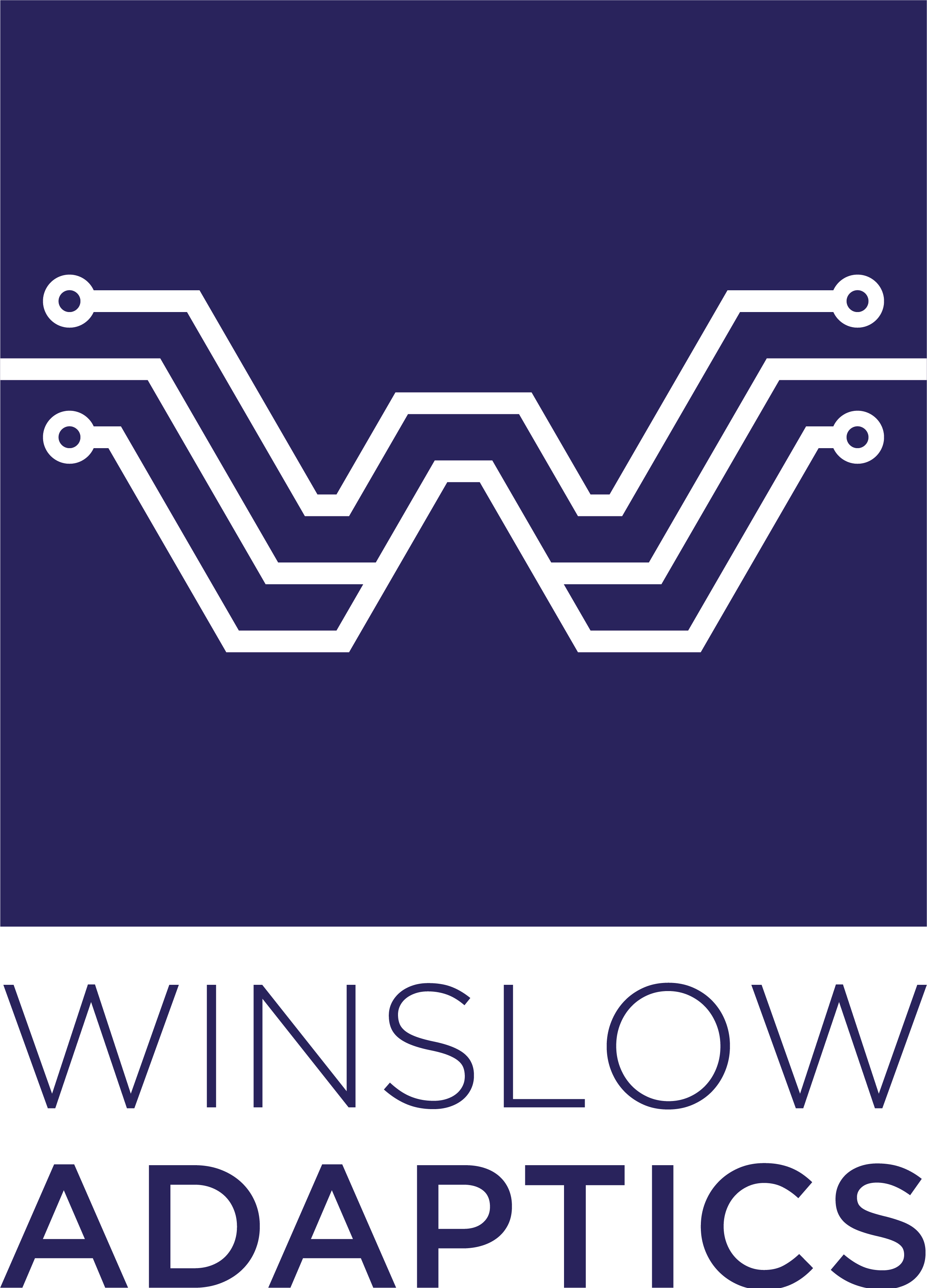 Winslow Adaptics