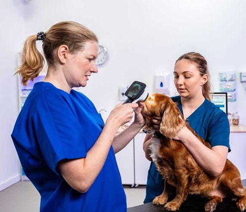Photon UVC - 5-Second Treatment for the Leading Cause of Blindness