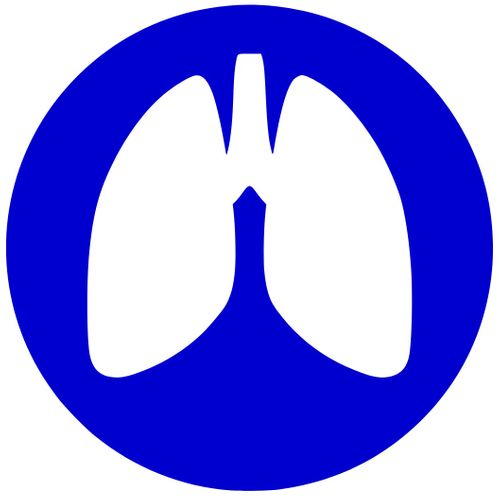 Lungs at Work