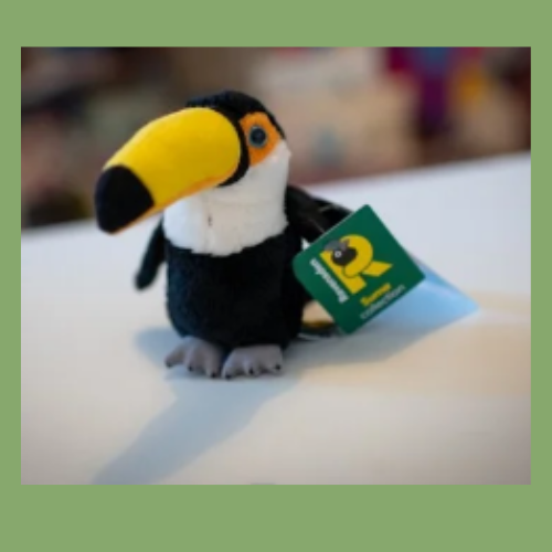 TERRY THE TOUCAN