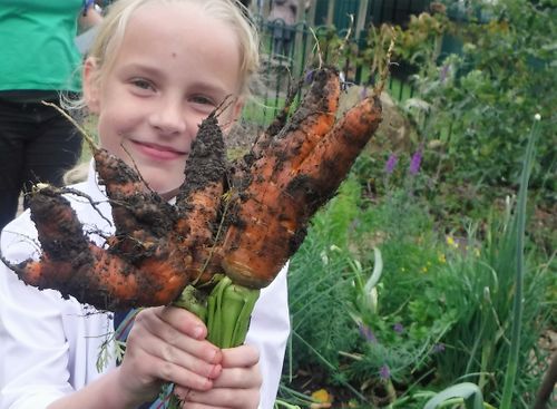 Growbag Primary Toolkit