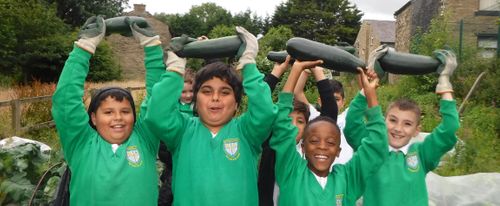 The Growbag Toolkit - Food growing in schools