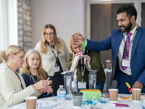 BDSIP Inclusion Conference 2025: Removing barriers to learning - Inclusive practice for all