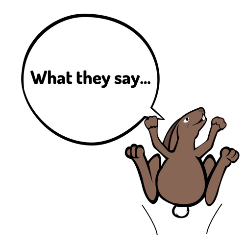 What they say about Little Magic Train