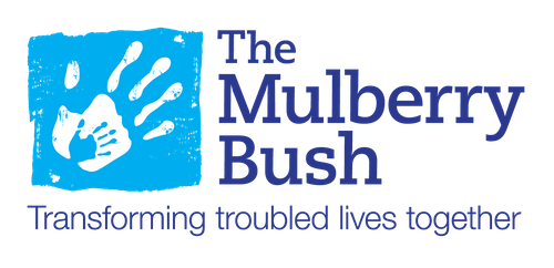 Mulberry Bush Organisation 