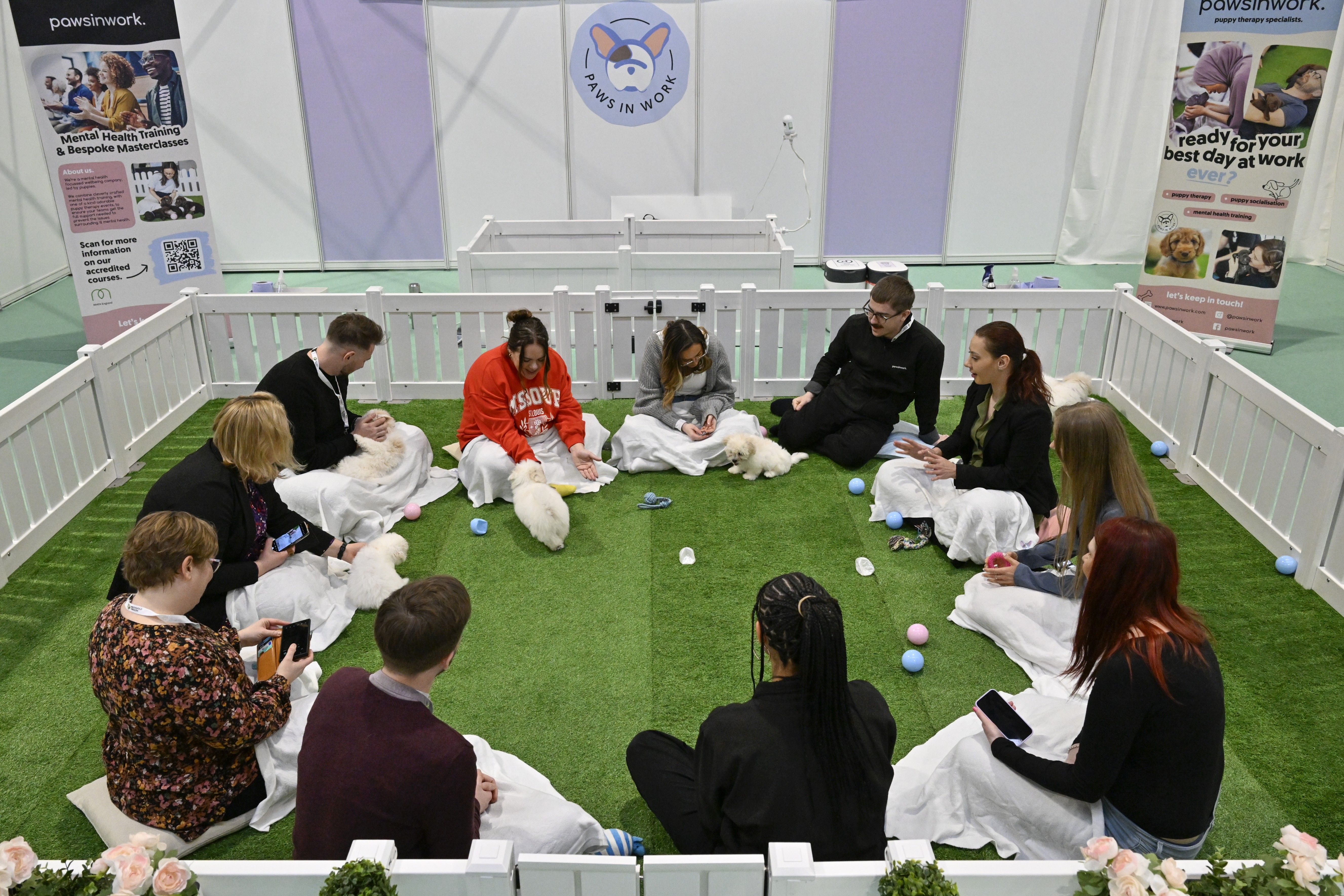 BAPCO introduces new Wellness Zone for 2026 event