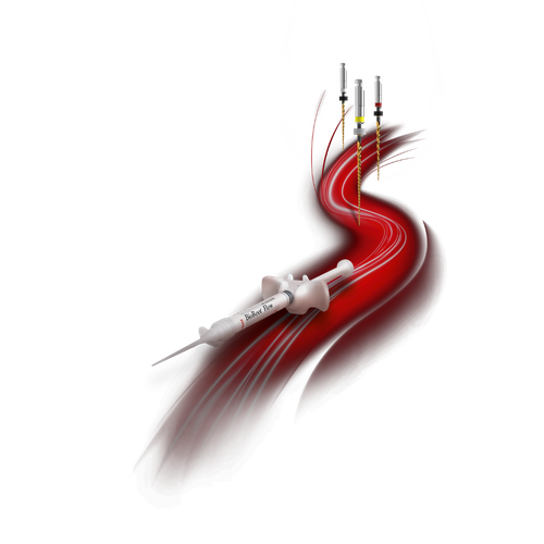 GenENDO - our new file system