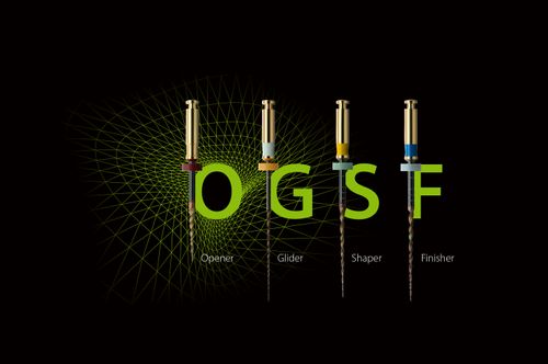 HyFlex EDM OGSF Sequence File System