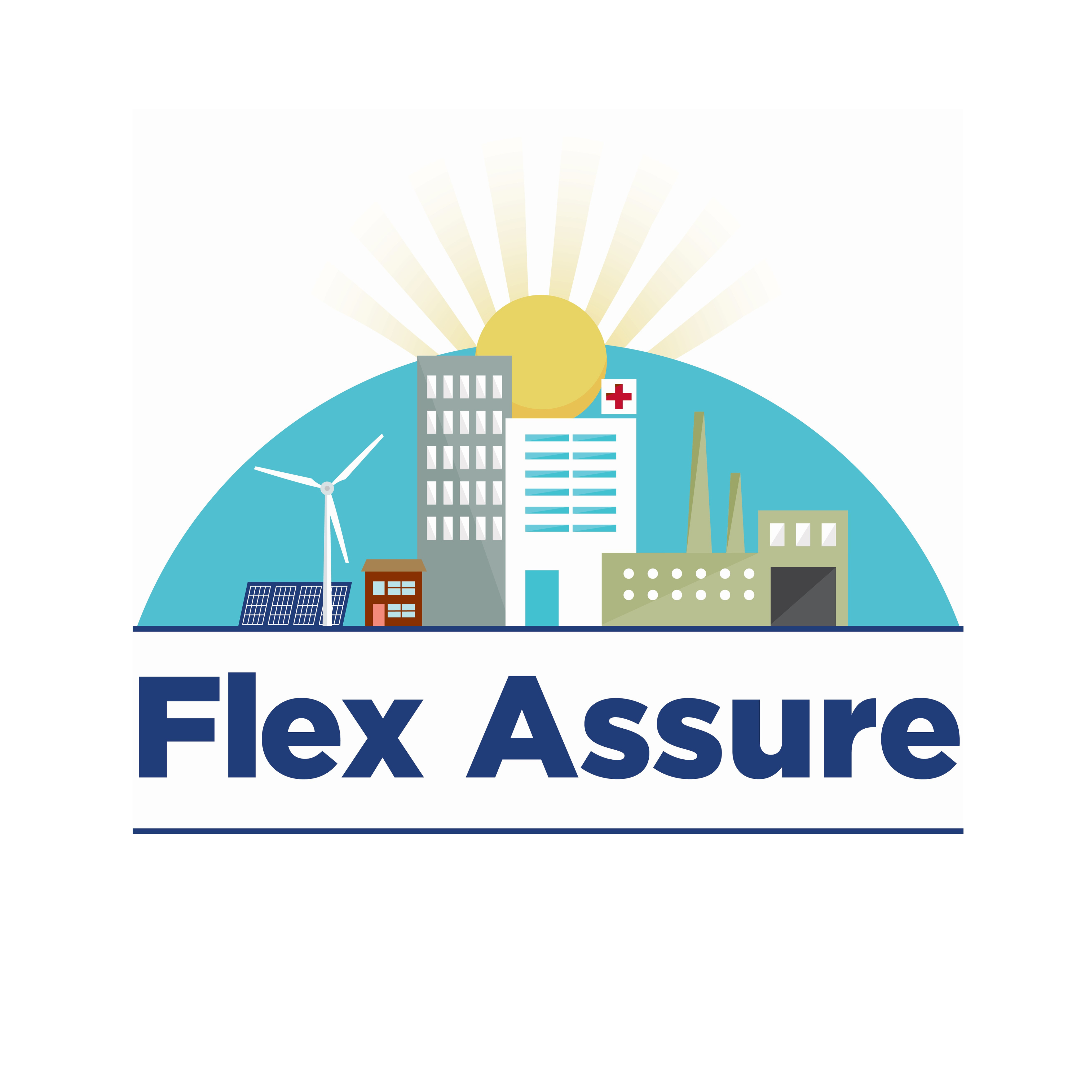 Flex Assure 