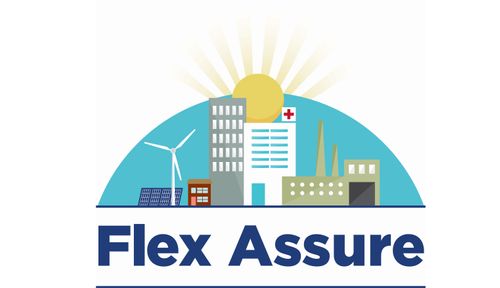 Flex Assure