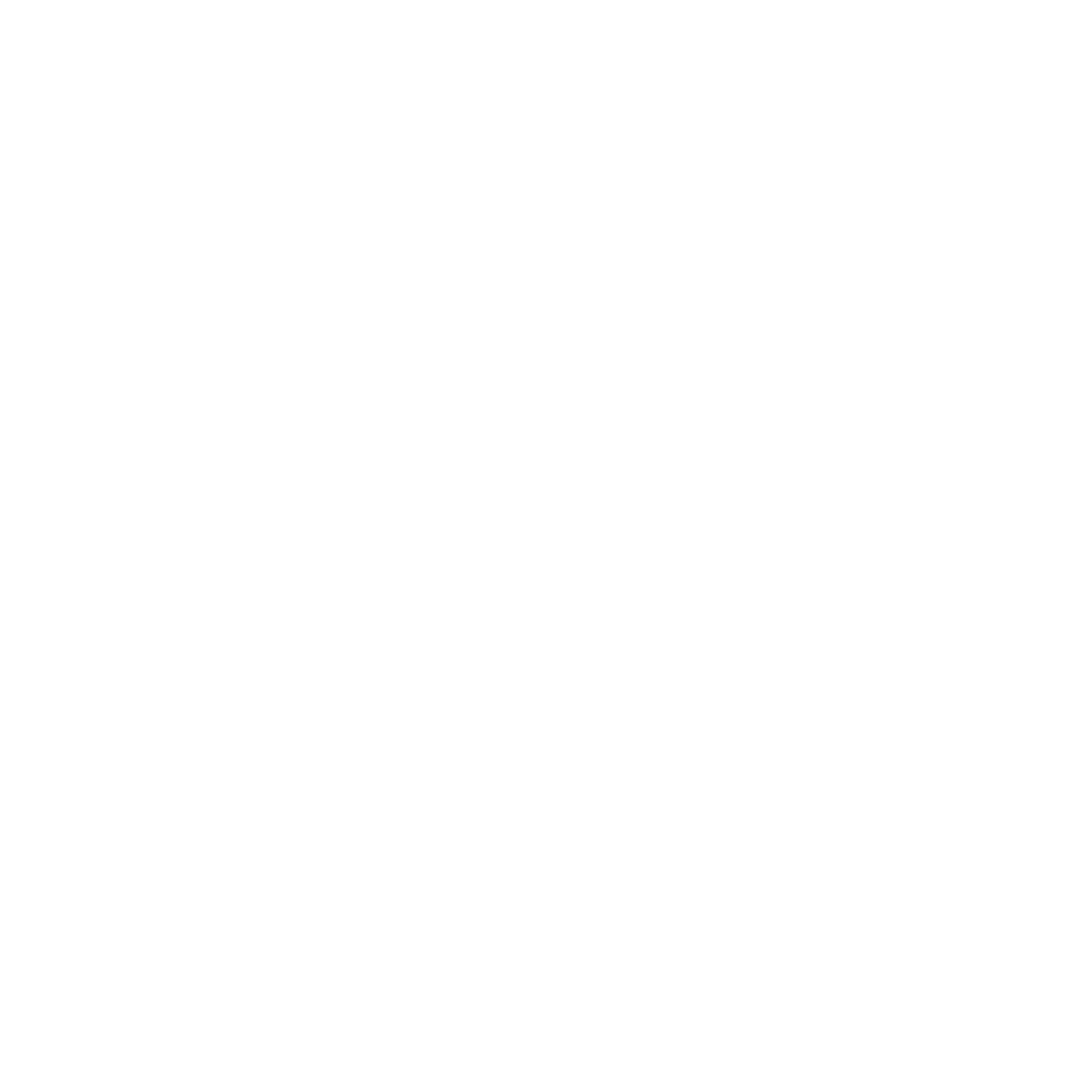 mic