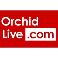 Company name - Orchid Live