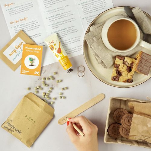 The Teabreak Project Brings Mindful, Creative Breaks to the Workplace