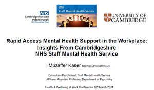 Rapid Access Mental Health Support in the Workplace