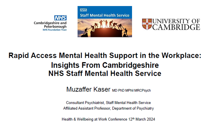 Rapid Access Mental Health Support in the Workplace