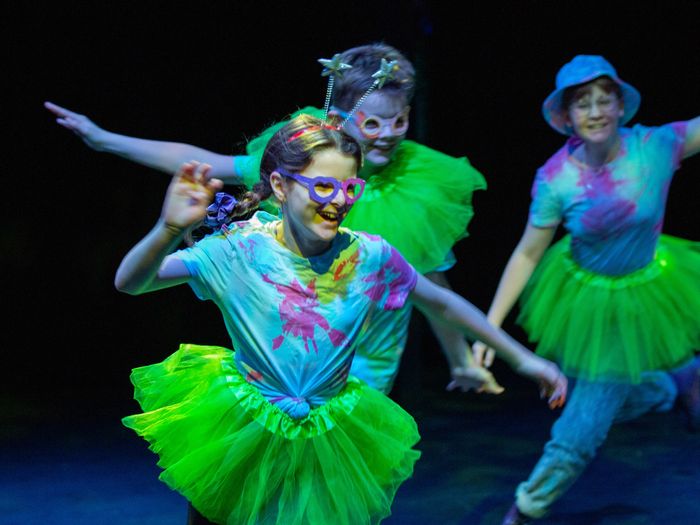 Shakespeare Schools Theatre Festival