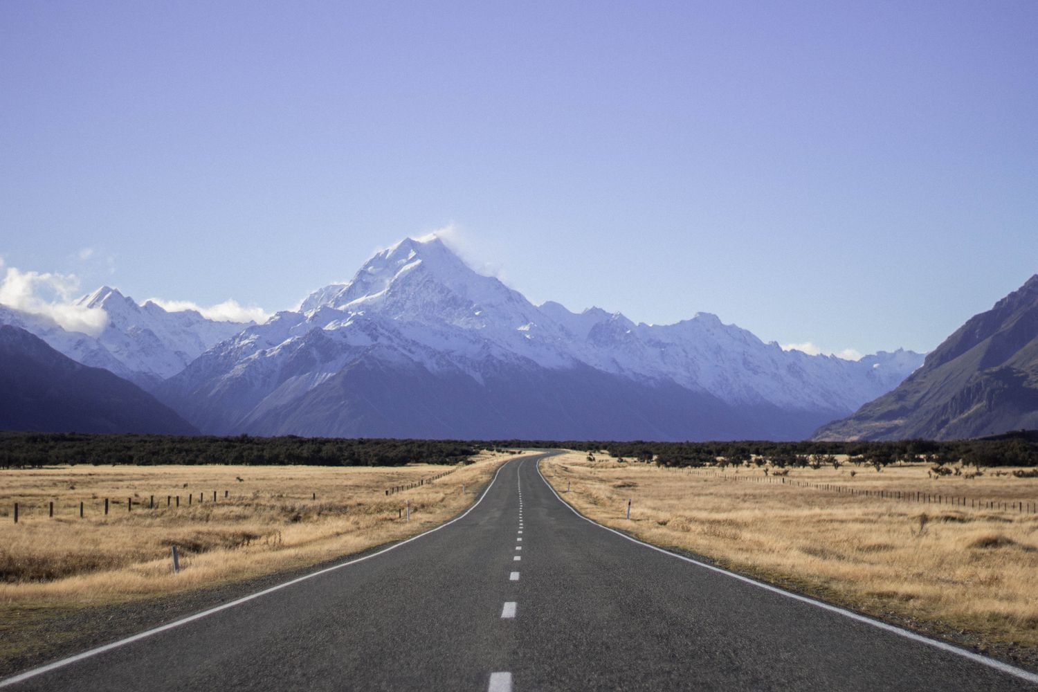 NZLocums & NZMedJobs
