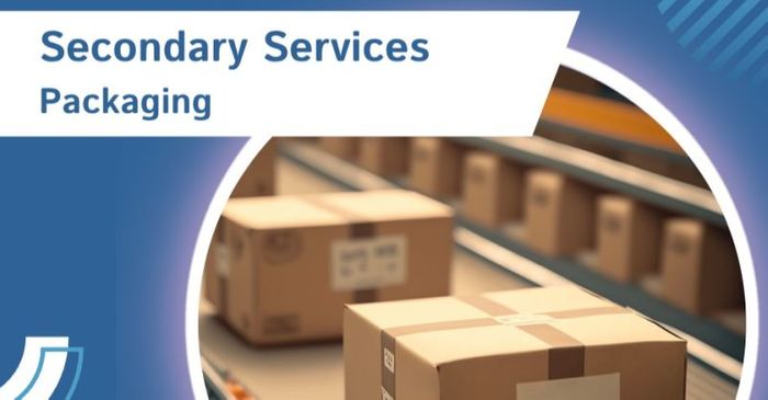 Secondary Services