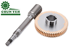 Worm & Worm Wheel