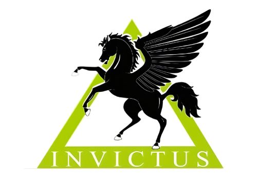 Invictus Engineering Group