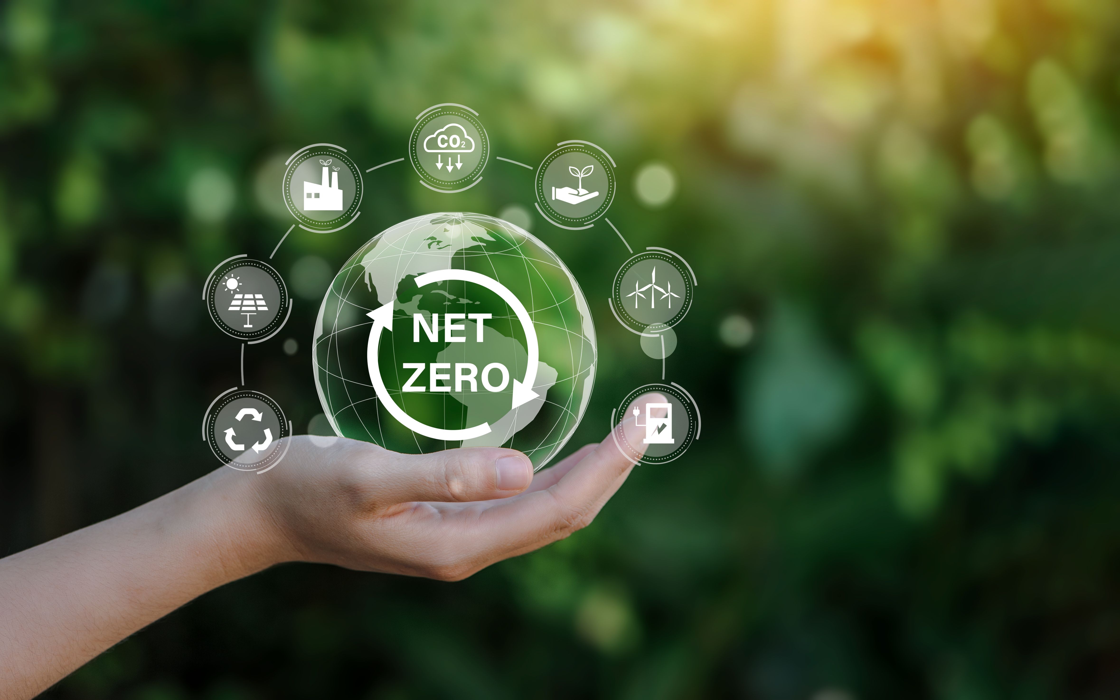 Employee-owned company, PB Design, advance towards net zero
