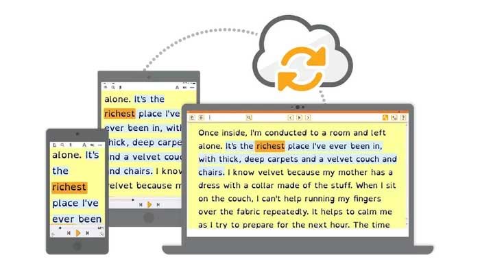 EasyReader Premium