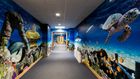 Immersive Wall Art for SEND pupils