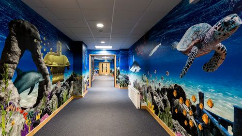 Immersive Wall Art for SEND pupils
