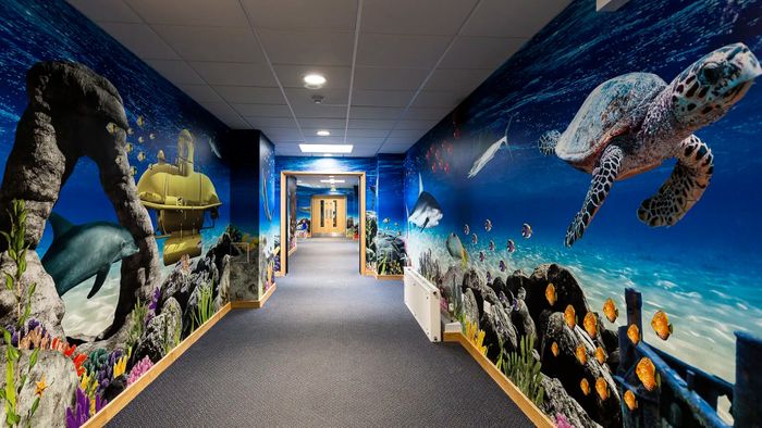 Immersive Wall Art for SEND pupils