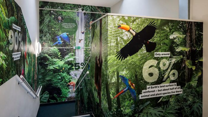 Immersive Wall Art for SEND pupils