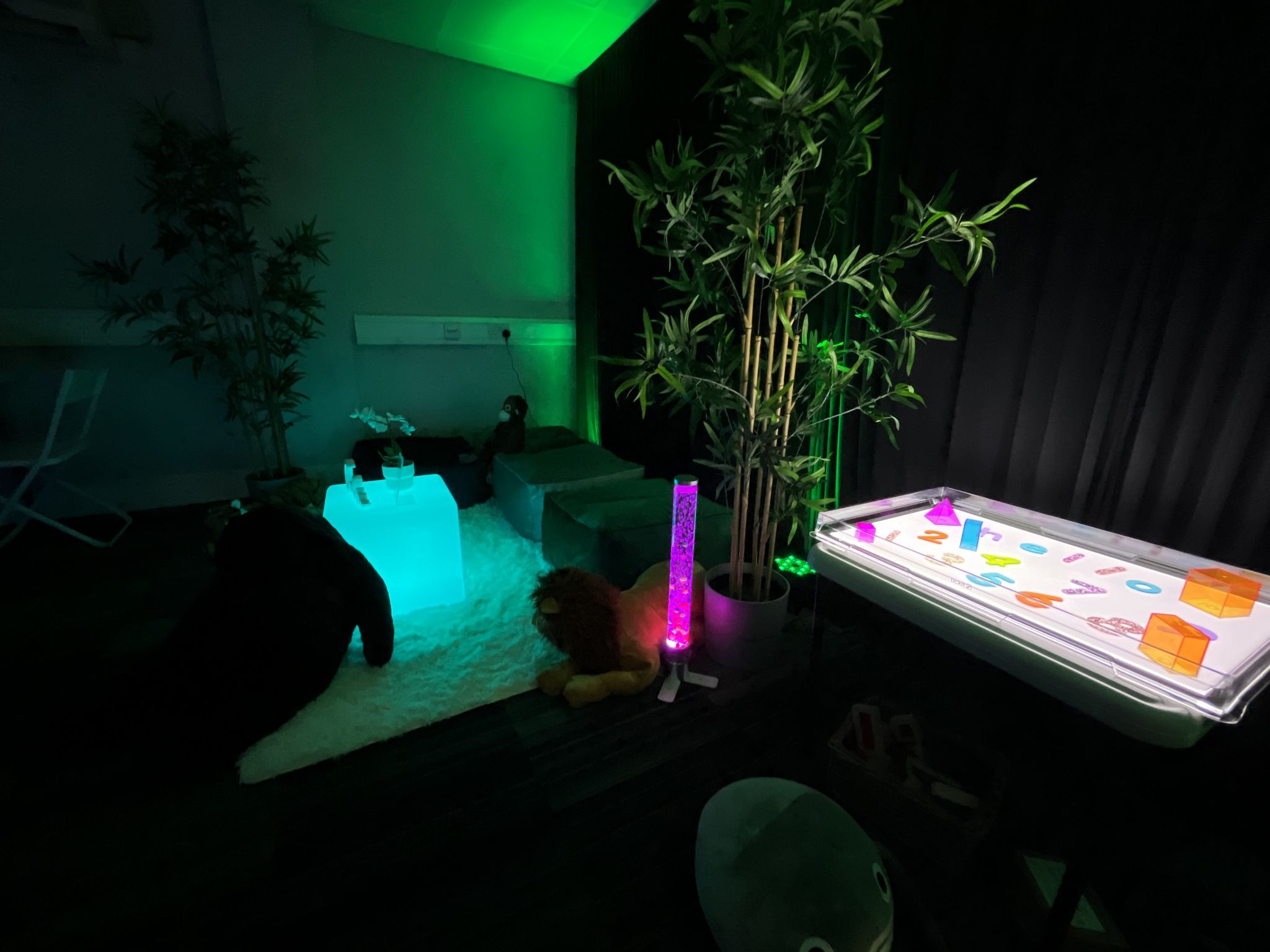 Image of the sensory room