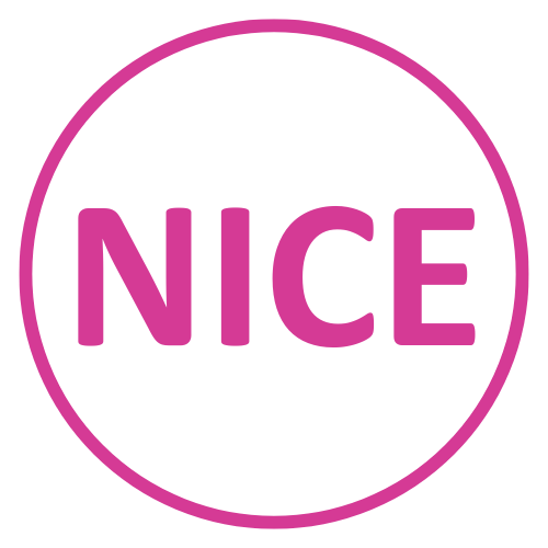 N.I.C.E. (New Independent Conference Experts) Ltd