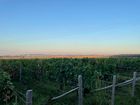Champagne Weekend with Dinner at Moet et Chandon