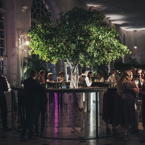 Green Tree and Silver Bar