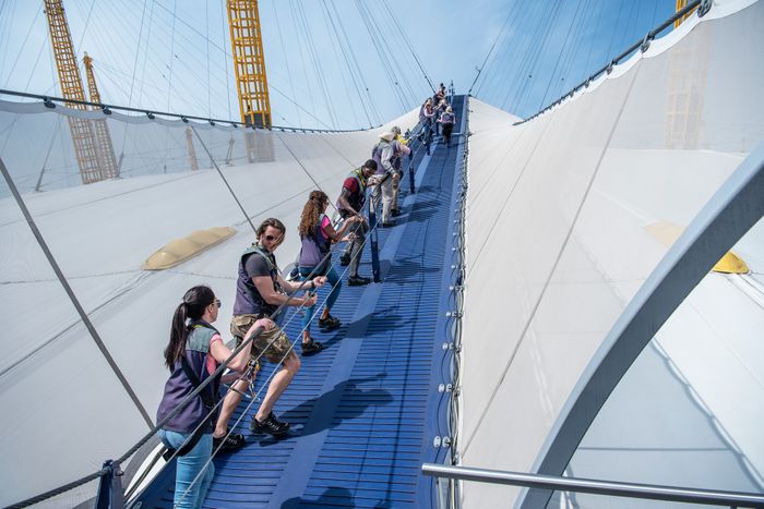 Climb Experience