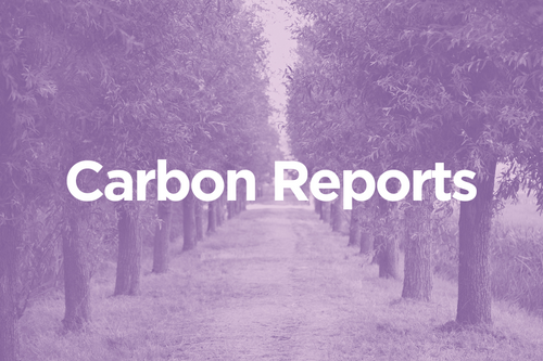 Carbon Reports
