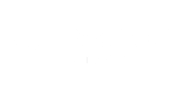 Voxel Studio
