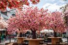 Twilight Trees | Nissan event Covent Garden