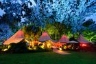 Tipi Tents