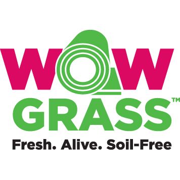 WOW Grass