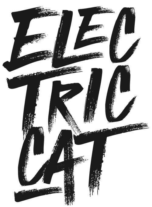 Electric Cat