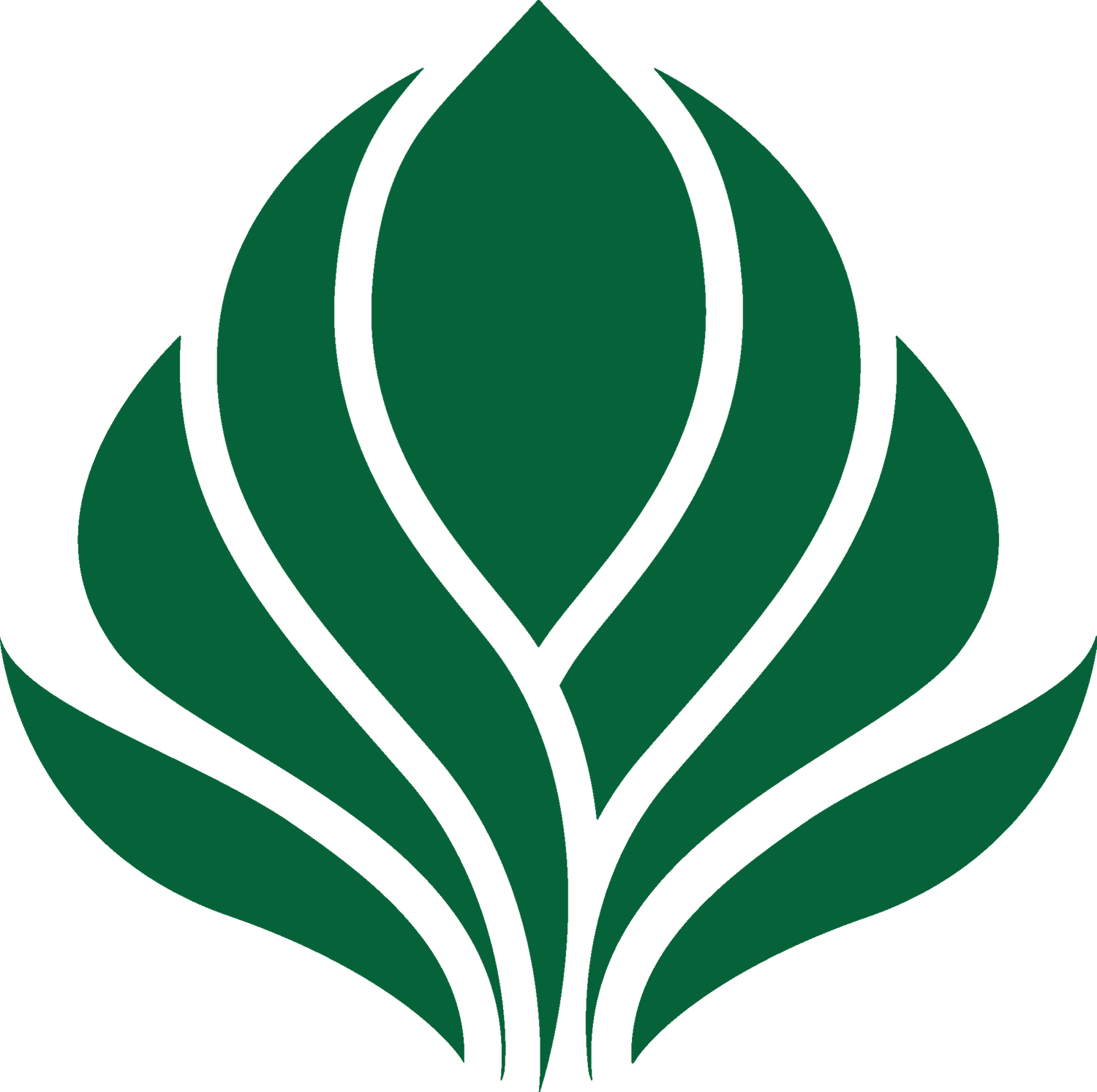 Natural Green Creative Spaces