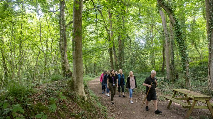 Outdoor Space - The Outdoor Plaza & ICC Wales Woodland