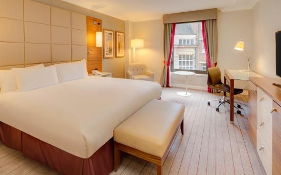 Guest Bedrooms