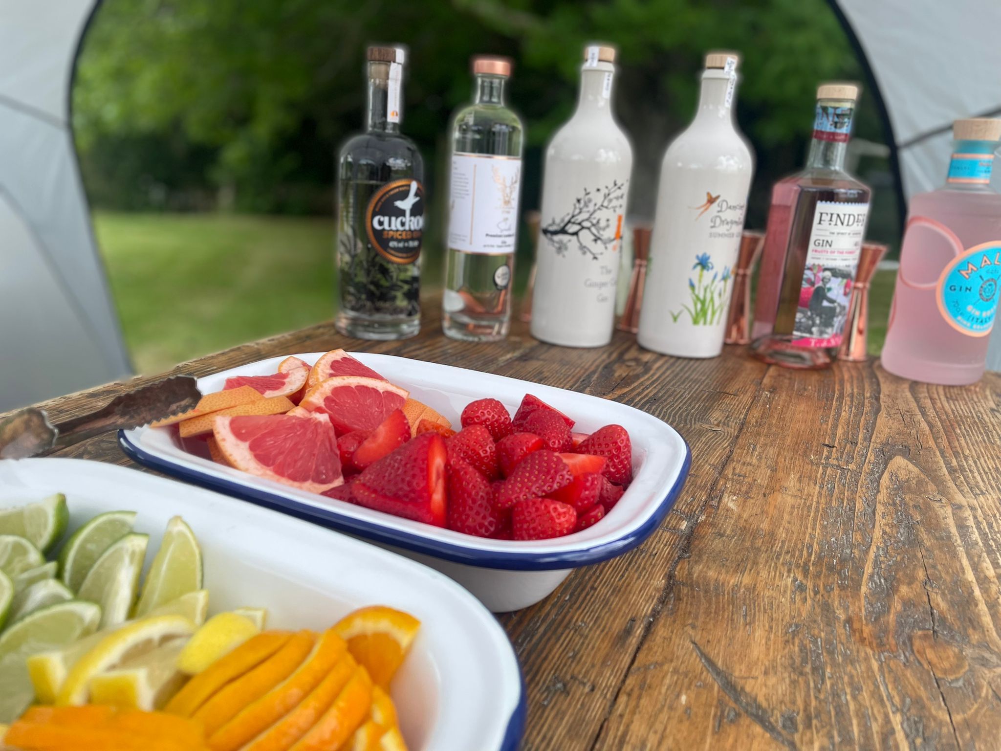 Premium mobile gin bar garden party
