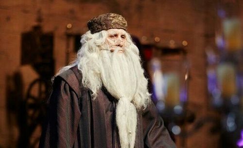 Albus Dumbledore