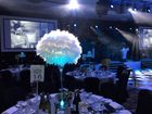 The Party and Events Company