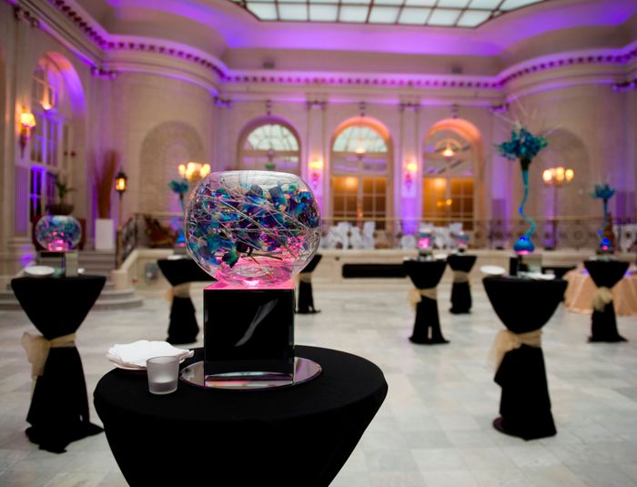 The Party and Events Company