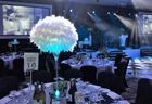 The Party and Events Company